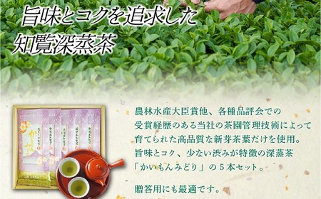 005-01 知覧銘茶 かいもんみどり5本セット
