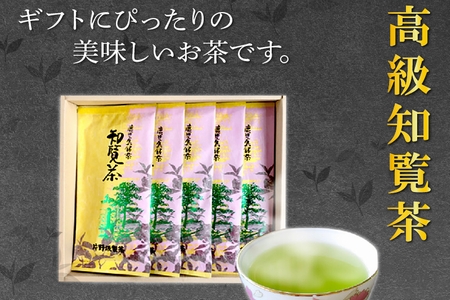 003-04 片野坂製茶の特選知覧茶5本ギフト