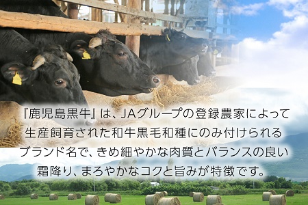 022-06 鹿児島黒牛すきやき900gセット