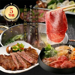 鹿児島黒牛サーロインステーキ2枚・すきやきセット【配送不可地域：離島】【1185750】