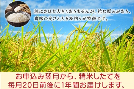 【全12回】鹿児島県産米ひのひかり5kg定期便 013-06