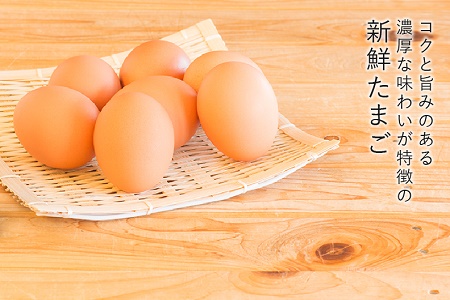 【全12回】毎月お届け!菊ちゃんのたまご(特級卵)定期便 042-08
