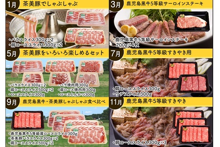 【全6回】鹿児島黒牛・茶美豚食べ比べ定期便 022-17