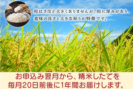 全12回】鹿児島県産米ひのひかり10kg定期便 013-07 | 鹿児島県南九州市