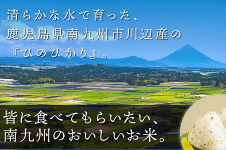 全12回】鹿児島県産米ひのひかり10kg定期便 013-07 | 鹿児島県南九州市