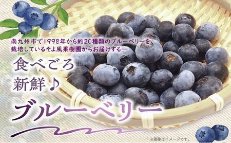 116-04 食べごろの選び抜かれたブルーベリー1.1kg