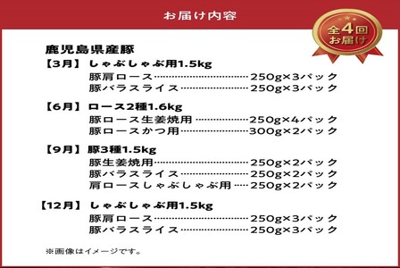 【全4回】鹿児島県産 カミチク豚 定期便 076-16