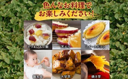 020-02 さつまいも「有機紅はるか」5kg