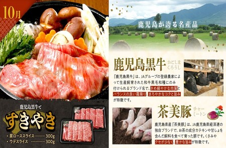 【全3回】鹿児島黒牛・茶美豚食べ比べ定期便 022-56