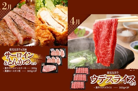 【全6回】鹿児島黒牛・黒豚食べ比べ定期便 022-57