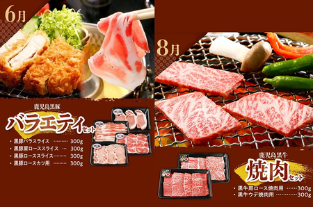 【全6回】鹿児島黒牛・黒豚食べ比べ定期便 022-57