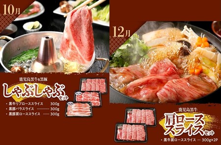 【全6回】鹿児島黒牛・黒豚食べ比べ定期便 022-57