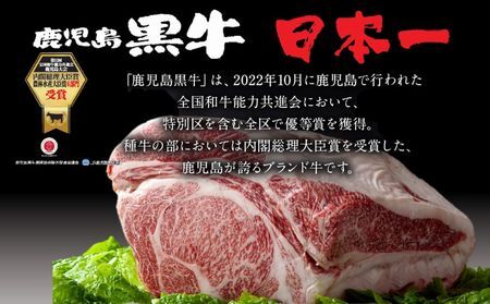 022-58 【期間限定 特別企画】鹿児島黒牛ウデスライスセット（計600g）