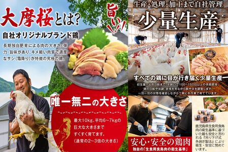 【全6回】さつま極鶏大摩桜 炭火焼き3種と炭焼き塩たたき定期便 085-12
