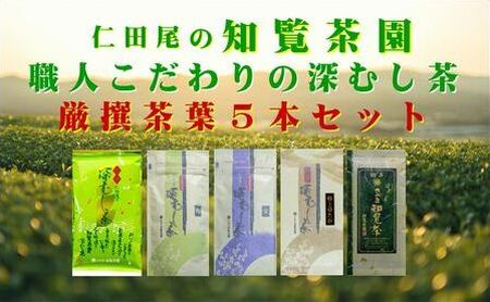 129-03 知覧茶園深むし茶 厳撰茶葉5本セット