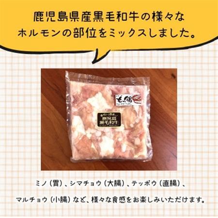 鹿児島県産黒毛和牛ホルモンミックス5パック【配送不可地域：離島】【1185870】