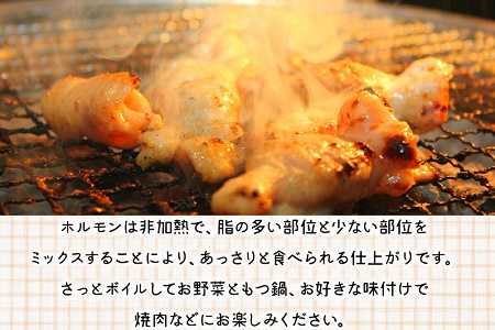 052-17 鹿児島県産黒毛和牛ホルモンミックス5パック