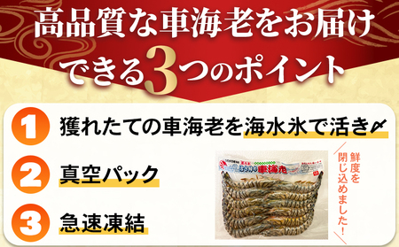 016-04 活き〆冷凍車海老LLサイズ