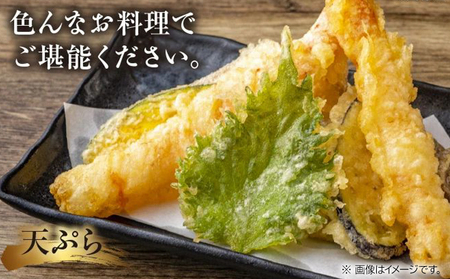 016-04 活き〆冷凍車海老LLサイズ