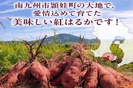 037-40 熟成紅はるか２kg