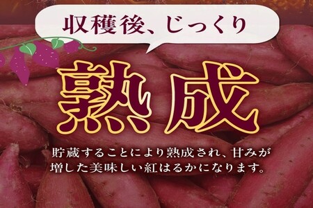 037-40 熟成紅はるか２kg