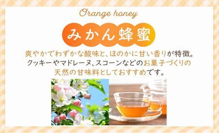 054-31 旅するはちみつ200g2本セット【りんご・みかん】