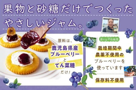 115-07 ブルーベリージャム 250g×4個