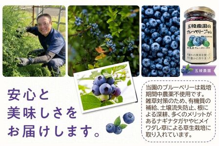 115-07 ブルーベリージャム 250g×4個