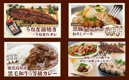 【全6回】時短!お手軽!ごちそうバラエティ定期便 BT-3