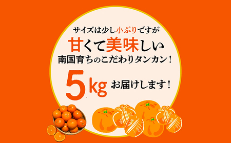 002-16 選りすぐり薩摩濃密タンカン5kg