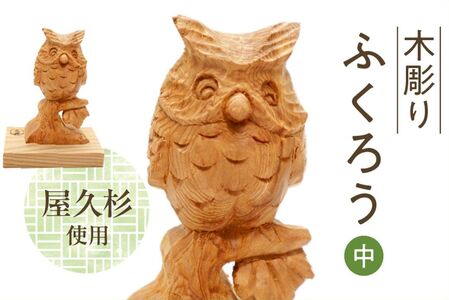 046-34 木彫り ふくろう (中)