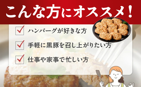 052-39 かごしま黒豚ハンバーグおろしソース20個