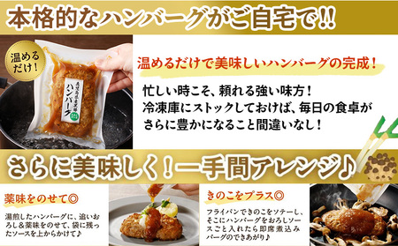 052-39 かごしま黒豚ハンバーグおろしソース20個