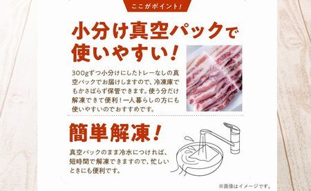 052-40 「かごしま黒豚さつま」スライス3種1.8kgセット
