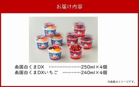 062-8-18 南国白くまDX・南国白くまDXいちご8個詰合せセット