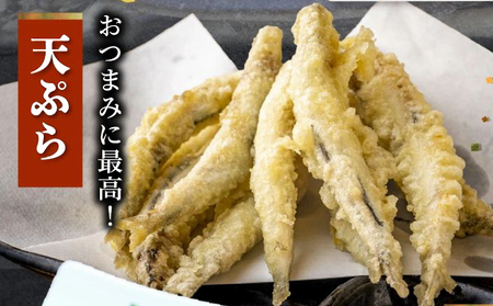 106-15 鹿児島県産キビナゴ1kg