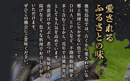106-15 鹿児島県産キビナゴ1kg
