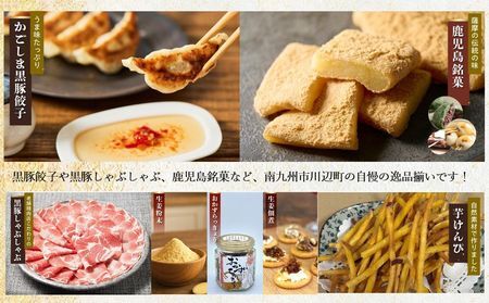 072-03 南九州市川辺町自慢の逸品をわっぜぇ詰め込んだ【極味】セット