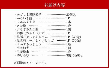 072-03 南九州市川辺町自慢の逸品をわっぜぇ詰め込んだ【極味】セット