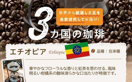 115-09 五稜珈琲100g×3ヶ国・ブルーベリージャム250g×2個セット