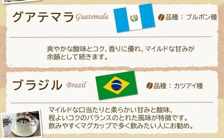 115-09 五稜珈琲100g×3ヶ国・ブルーベリージャム250g×2個セット