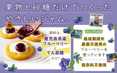 115-09 五稜珈琲100g×3ヶ国・ブルーベリージャム250g×2個セット