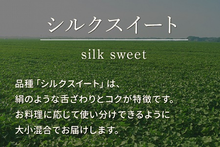 040-02 さつまいも「シルクスイート」5kg