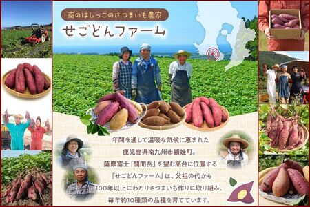 040-02 さつまいも「シルクスイート」5kg