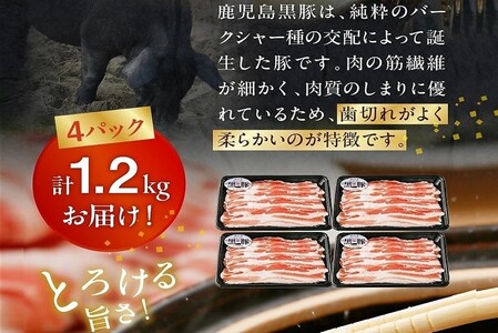 022-62 【2026年2月~4月お届け】鹿児島黒豚バラセット1.2kg