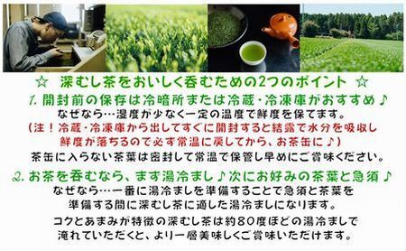 129-08-2 【お歳暮に】知覧茶園の特撰深むし茶 大容量 3本セット