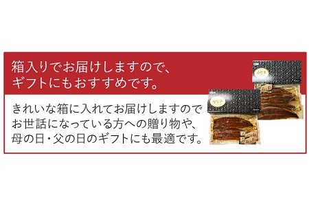 062-3-03-1 【ふるなびWEEK対象】天然地下水育ち!鹿児島県産うなぎ蒲焼2尾