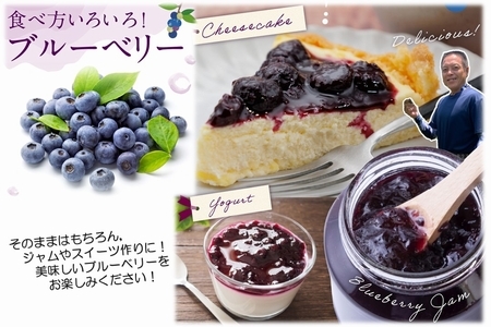 115-10 冷凍ブルーベリー1kg