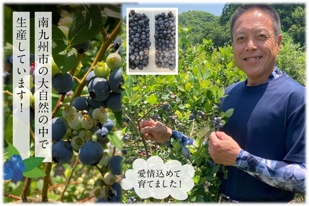 115-10 冷凍ブルーベリー1kg