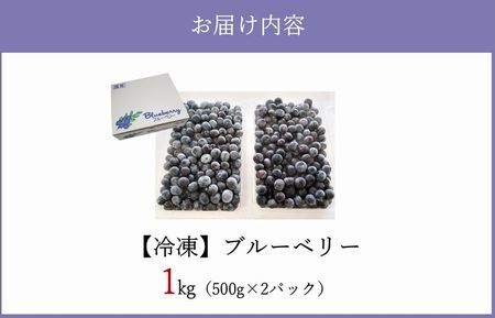 115-10 冷凍ブルーベリー1kg
